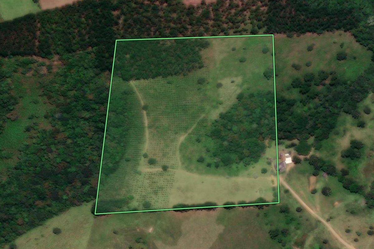 Imagem de satélite do imóvel rural em Cerro Azul (PR), com o contorno declarado no CAR desenhado por cima.