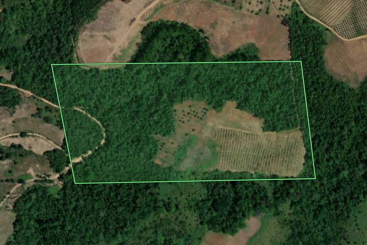 Imagem de satélite do imóvel rural em Cerro Azul (PR), com o contorno declarado no CAR desenhado por cima.