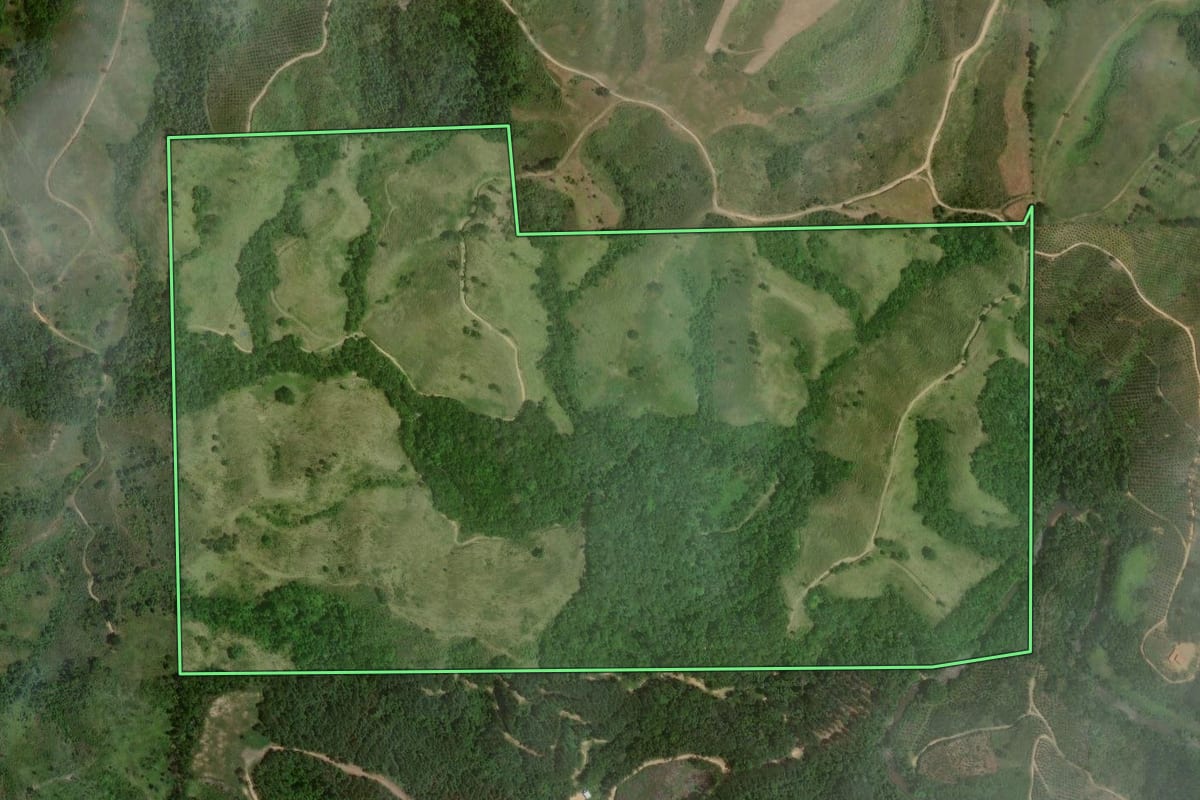 Imagem de satélite do imóvel rural em Cerro Azul (PR), com o contorno declarado no CAR desenhado por cima.