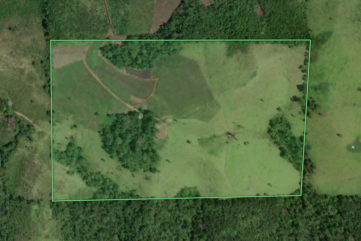 Imagem de satélite do imóvel rural em Cerro Azul (PR), com o contorno declarado no CAR desenhado por cima.