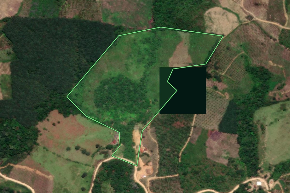 Imagem de satélite do imóvel rural em Cerro Azul (PR), com o contorno declarado no CAR desenhado por cima.