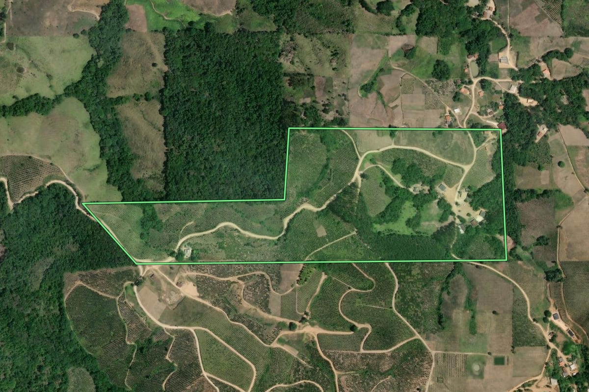Imagem de satélite do imóvel rural em Cerro Azul (PR), com o contorno declarado no CAR desenhado por cima.