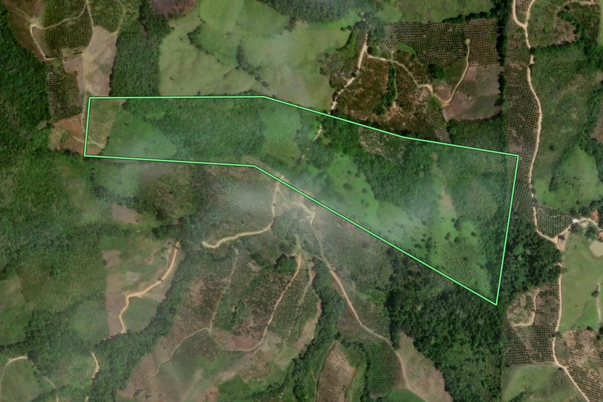Imagem de satélite do imóvel rural em Cerro Azul (PR), com o contorno declarado no CAR desenhado por cima.