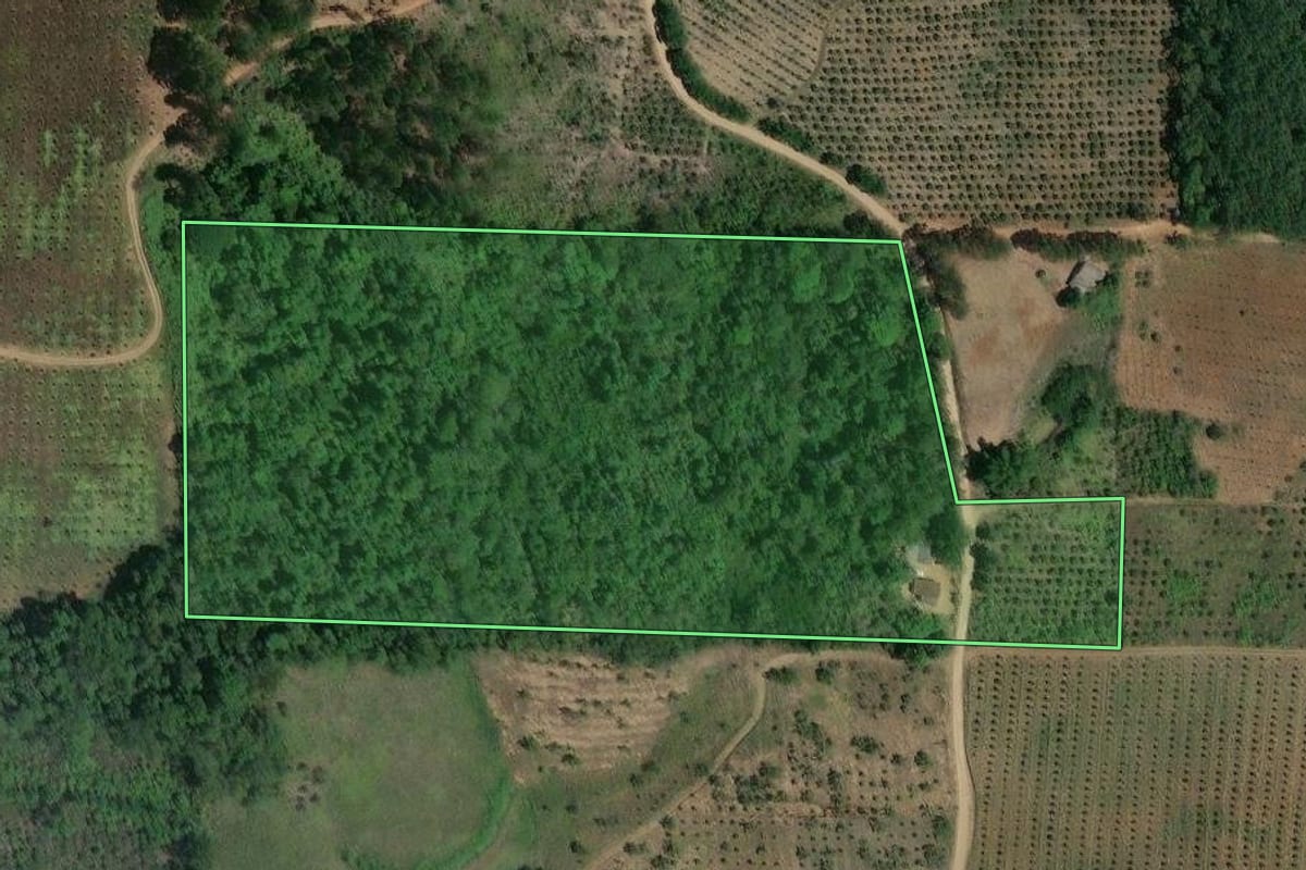 Imagem de satélite do imóvel rural em Cerro Azul (PR), com o contorno declarado no CAR desenhado por cima.