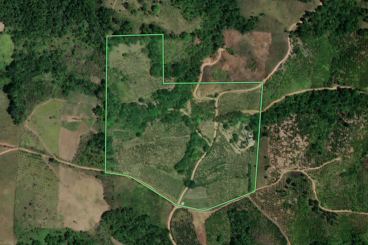 Imagem de satélite do imóvel rural em Cerro Azul (PR), com o contorno declarado no CAR desenhado por cima.