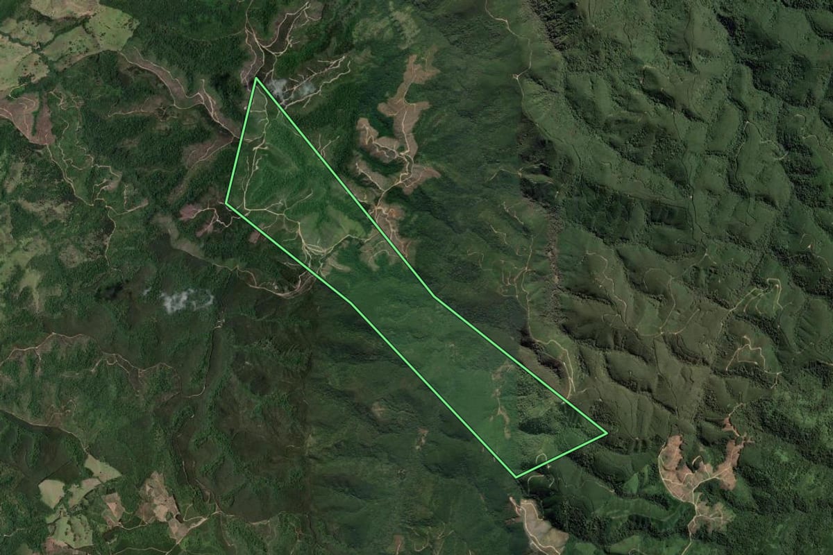 Imagem de satélite do imóvel rural em Cerro Azul (PR), com o contorno declarado no CAR desenhado por cima.