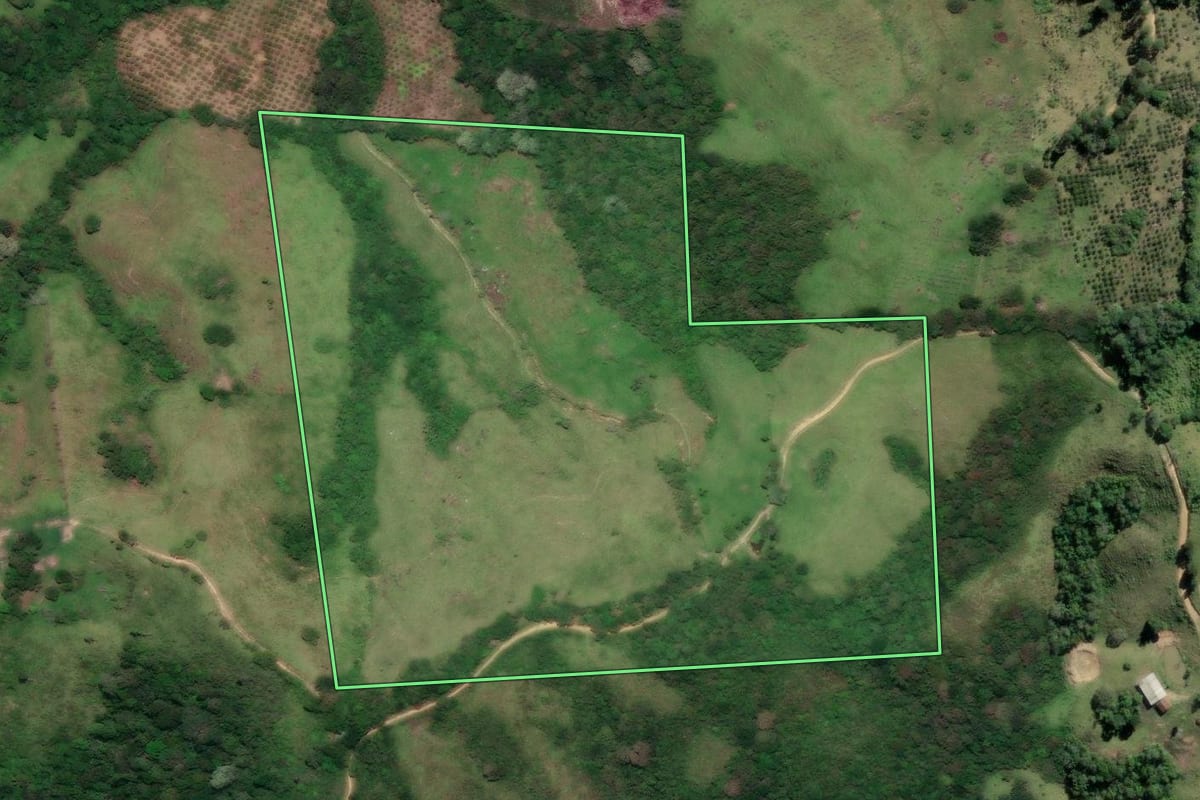 Imagem de satélite do imóvel rural em Cerro Azul (PR), com o contorno declarado no CAR desenhado por cima.
