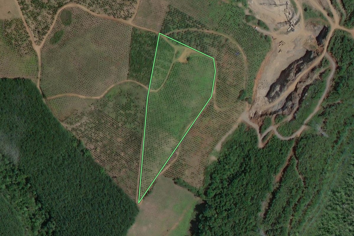 Imagem de satélite do imóvel rural em Cerro Azul (PR), com o contorno declarado no CAR desenhado por cima.