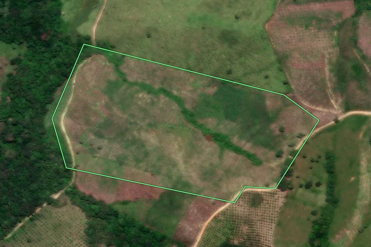 Imagem de satélite do imóvel rural em Cerro Azul (PR), com o contorno declarado no CAR desenhado por cima.