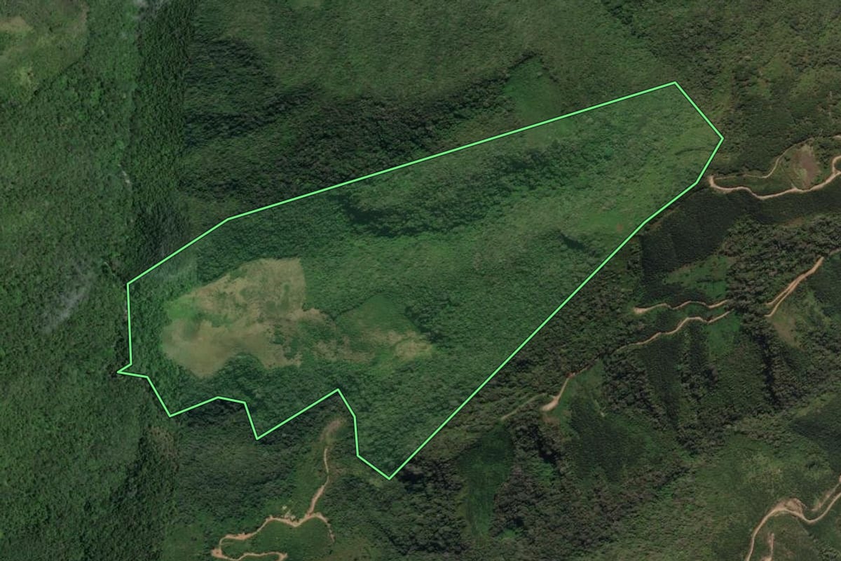 Imagem de satélite do imóvel rural em Cerro Azul (PR), com o contorno declarado no CAR desenhado por cima.