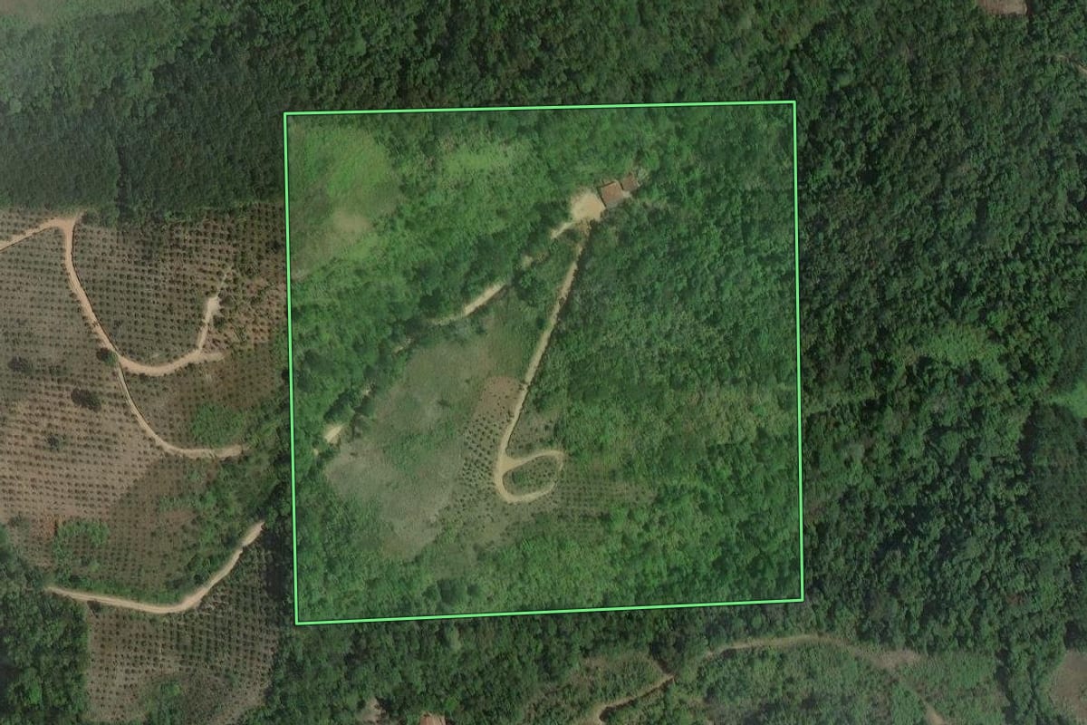 Imagem de satélite do imóvel rural em Cerro Azul (PR), com o contorno declarado no CAR desenhado por cima.