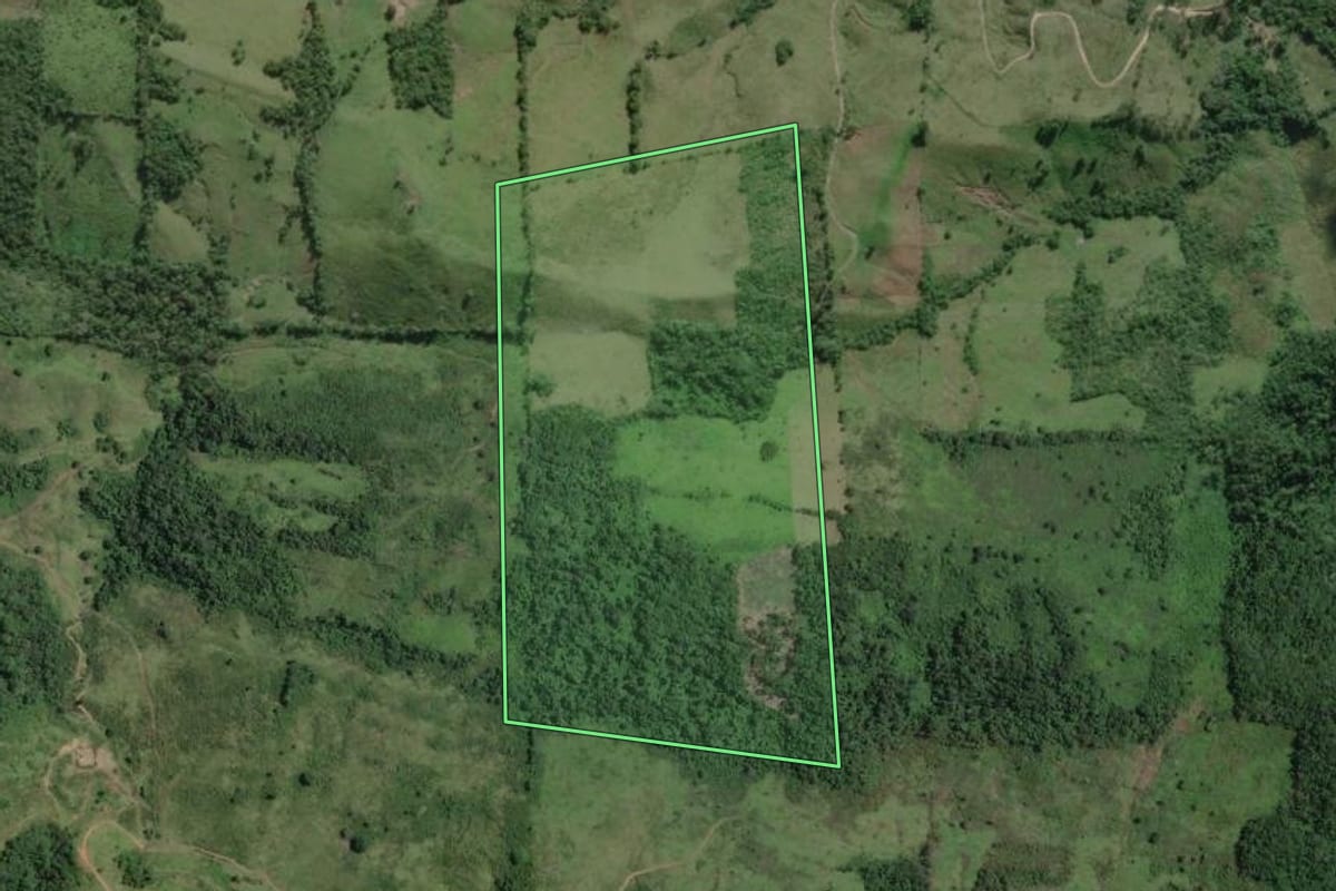 Imagem de satélite do imóvel rural em Cerro Azul (PR), com o contorno declarado no CAR desenhado por cima.