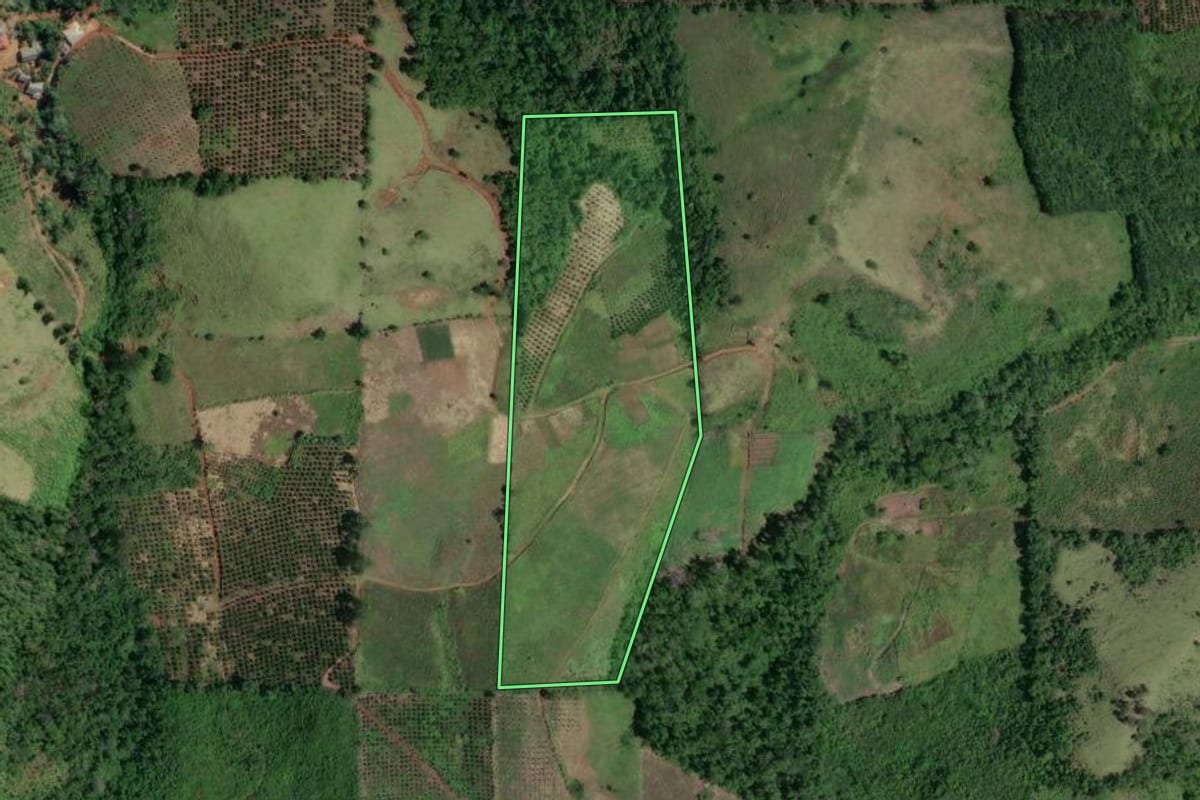 Imagem de satélite do imóvel rural em Cerro Azul (PR), com o contorno declarado no CAR desenhado por cima.