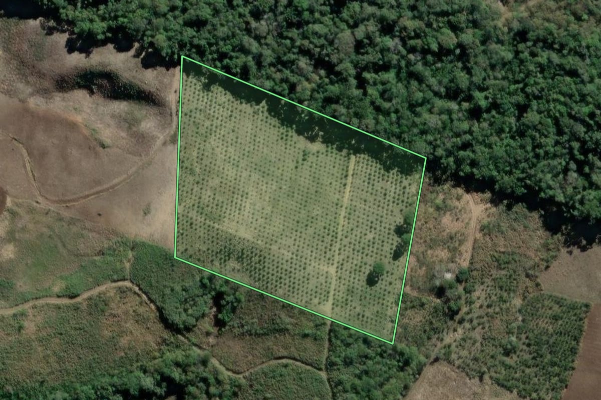 Imagem de satélite do imóvel rural em Cerro Azul (PR), com o contorno declarado no CAR desenhado por cima.
