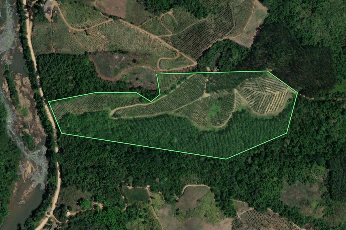 Imagem de satélite do imóvel rural em Cerro Azul (PR), com o contorno declarado no CAR desenhado por cima.
