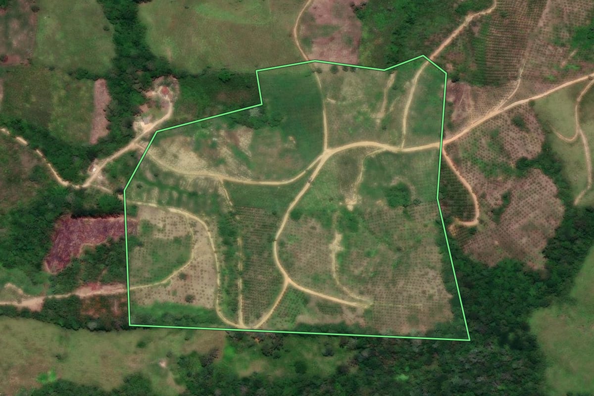Imagem de satélite do imóvel rural em Cerro Azul (PR), com o contorno declarado no CAR desenhado por cima.
