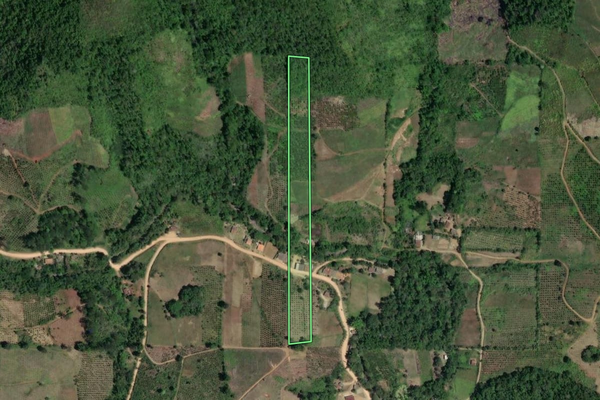 Imagem de satélite do imóvel rural em Cerro Azul (PR), com o contorno declarado no CAR desenhado por cima.