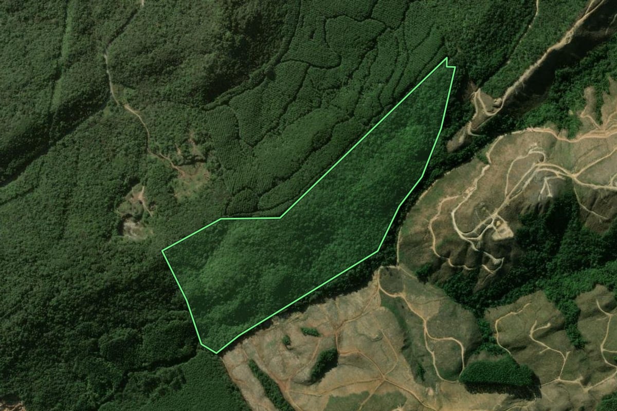 Imagem de satélite do imóvel rural em Cerro Azul (PR), com o contorno declarado no CAR desenhado por cima.