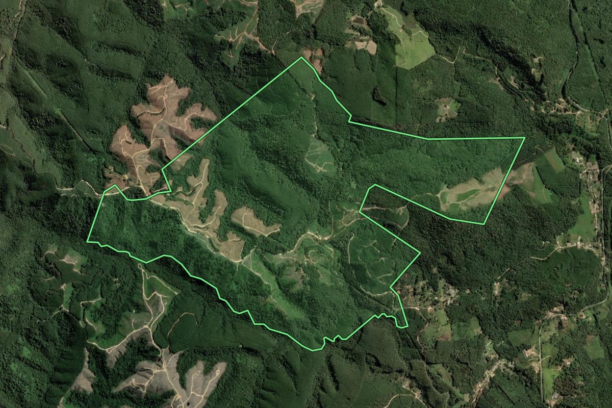 Imagem de satélite do imóvel rural em Cerro Azul (PR), com o contorno declarado no CAR desenhado por cima.
