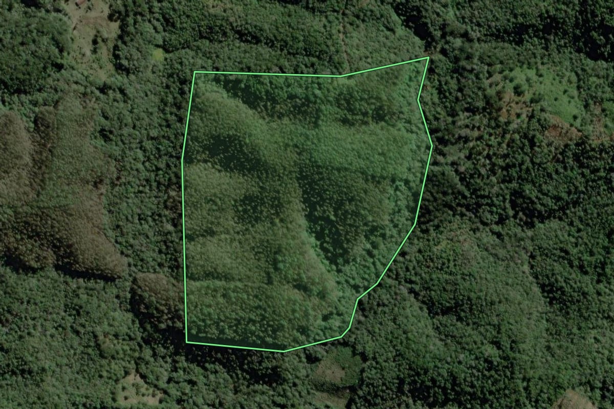 Imagem de satélite do imóvel rural em Cerro Azul (PR), com o contorno declarado no CAR desenhado por cima.
