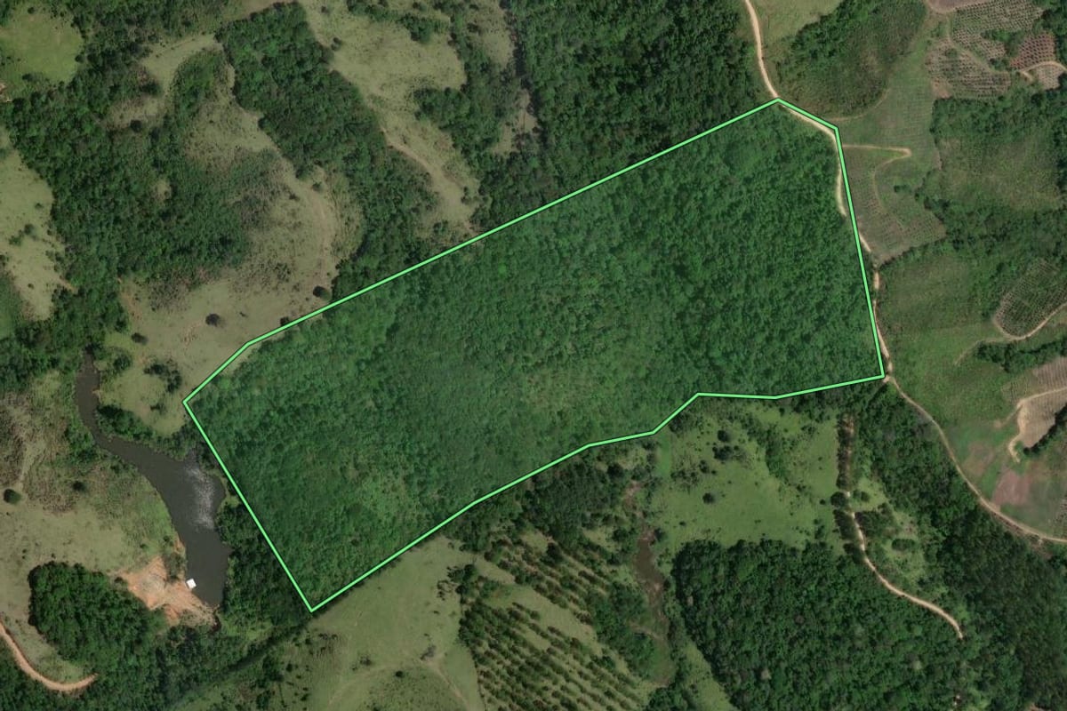 Imagem de satélite do imóvel rural em Cerro Azul (PR), com o contorno declarado no CAR desenhado por cima.