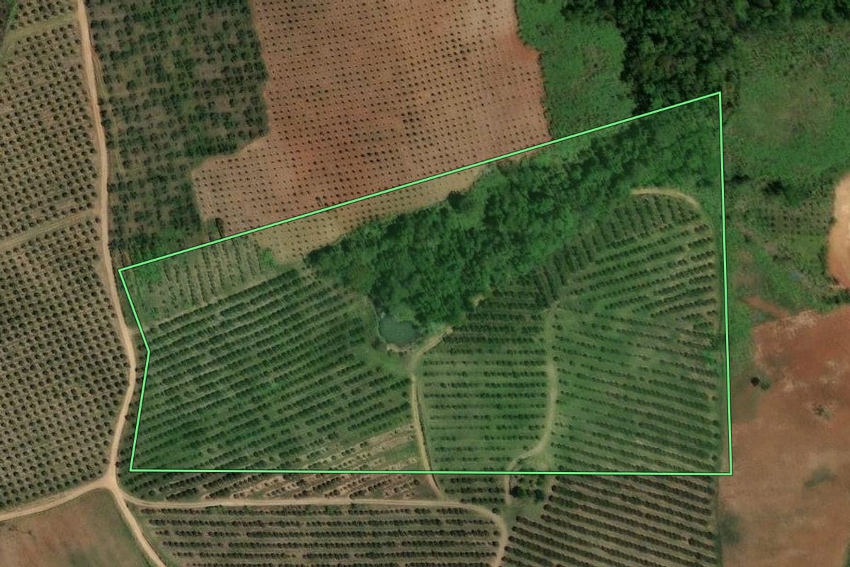 Imagem de satélite do imóvel rural em Cerro Azul (PR), com o contorno declarado no CAR desenhado por cima.