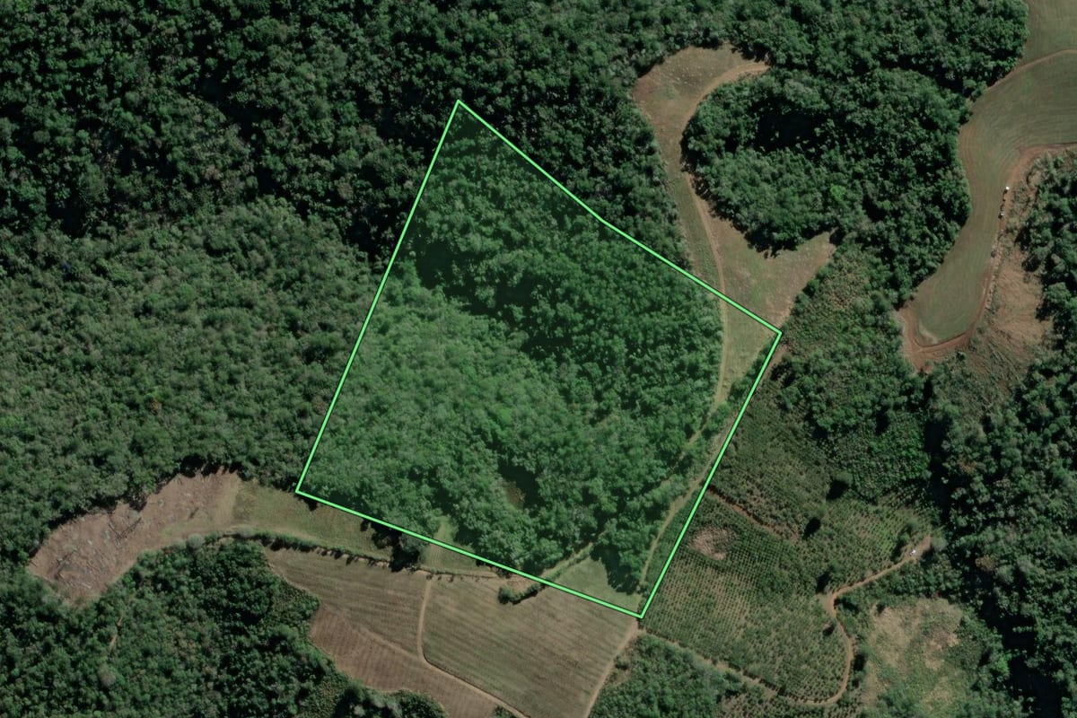 Imagem de satélite do imóvel rural em Cerro Azul (PR), com o contorno declarado no CAR desenhado por cima.