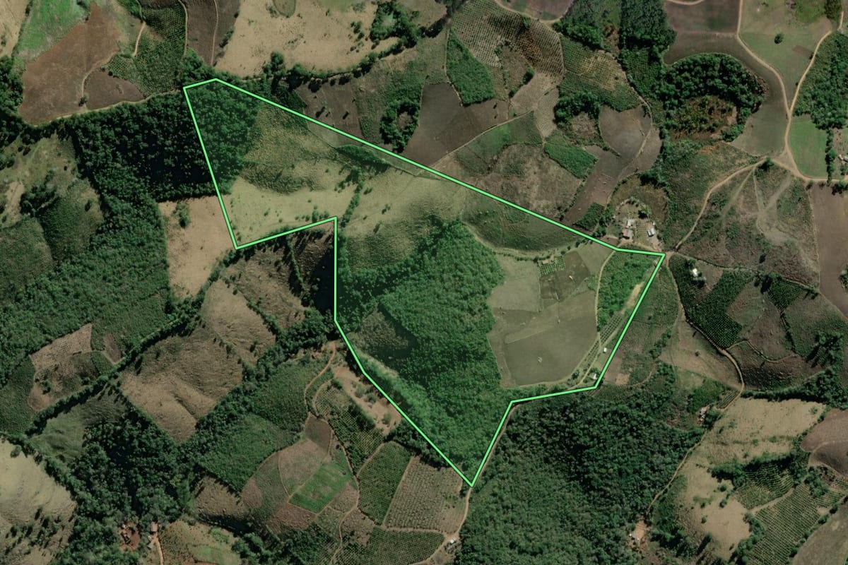 Imagem de satélite do imóvel rural em Cerro Azul (PR), com o contorno declarado no CAR desenhado por cima.