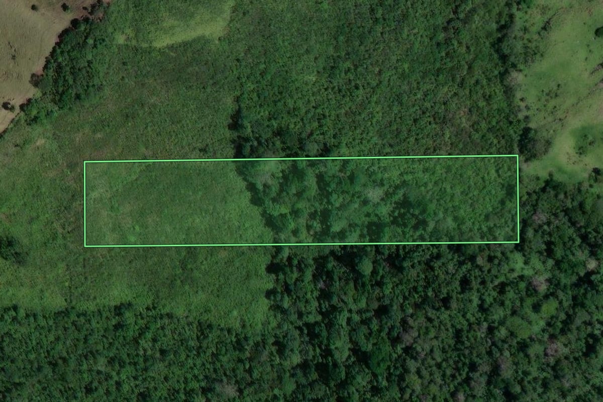 Imagem de satélite do imóvel rural em Cerro Azul (PR), com o contorno declarado no CAR desenhado por cima.