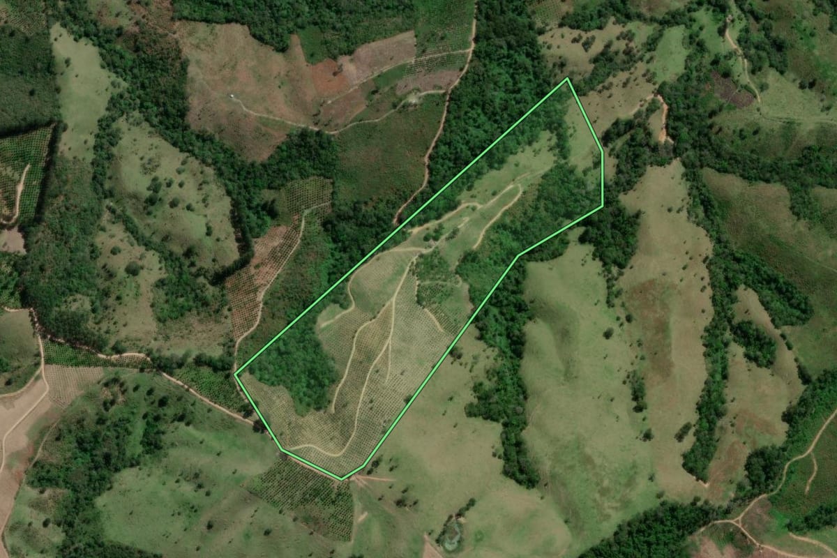 Imagem de satélite do imóvel rural em Cerro Azul (PR), com o contorno declarado no CAR desenhado por cima.