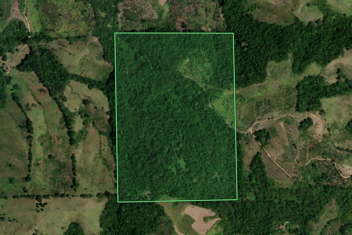 Imagem de satélite do imóvel rural em Cerro Azul (PR), com o contorno declarado no CAR desenhado por cima.