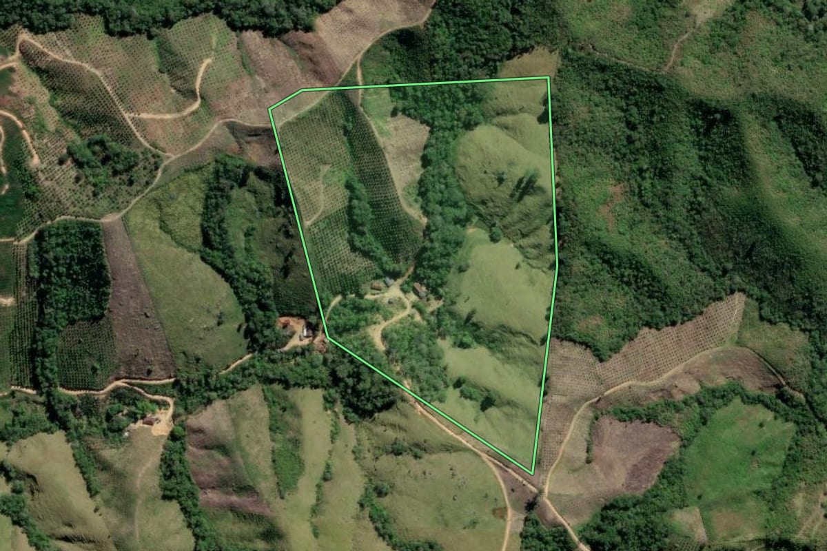 Imagem de satélite do imóvel rural em Cerro Azul (PR), com o contorno declarado no CAR desenhado por cima.