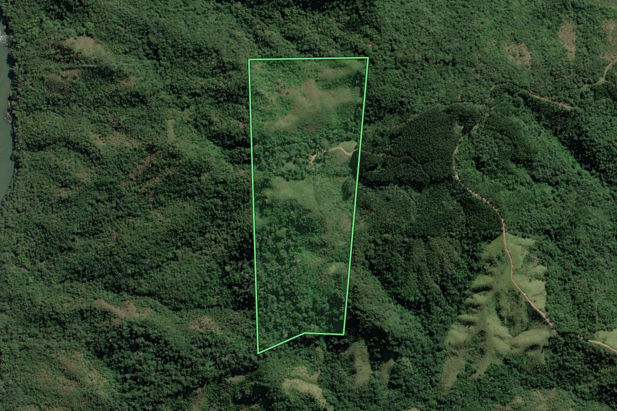 Imagem de satélite do imóvel rural em Cerro Azul (PR), com o contorno declarado no CAR desenhado por cima.