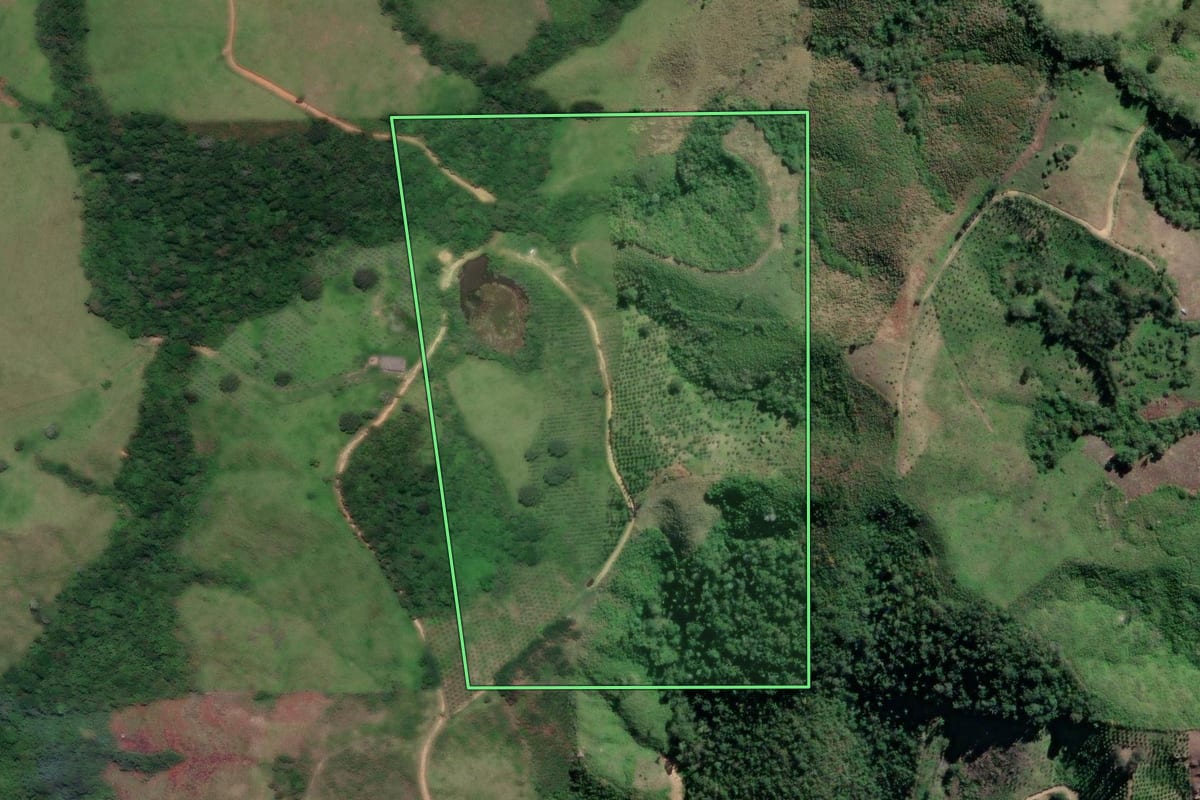 Imagem de satélite do imóvel rural em Cerro Azul (PR), com o contorno declarado no CAR desenhado por cima.