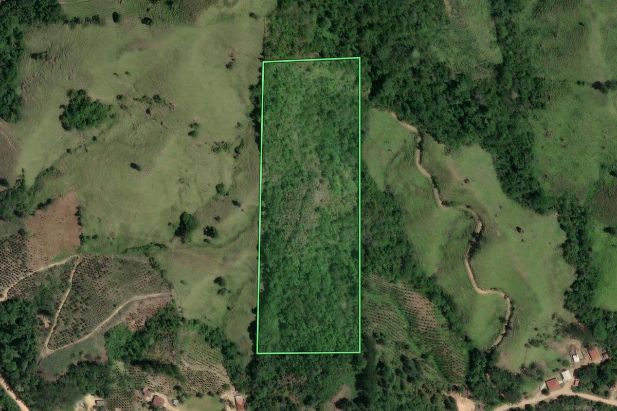 Imagem de satélite do imóvel rural em Cerro Azul (PR), com o contorno declarado no CAR desenhado por cima.