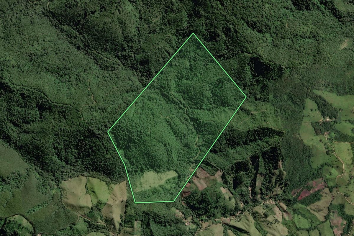 Imagem de satélite do imóvel rural em Cerro Azul (PR), com o contorno declarado no CAR desenhado por cima.