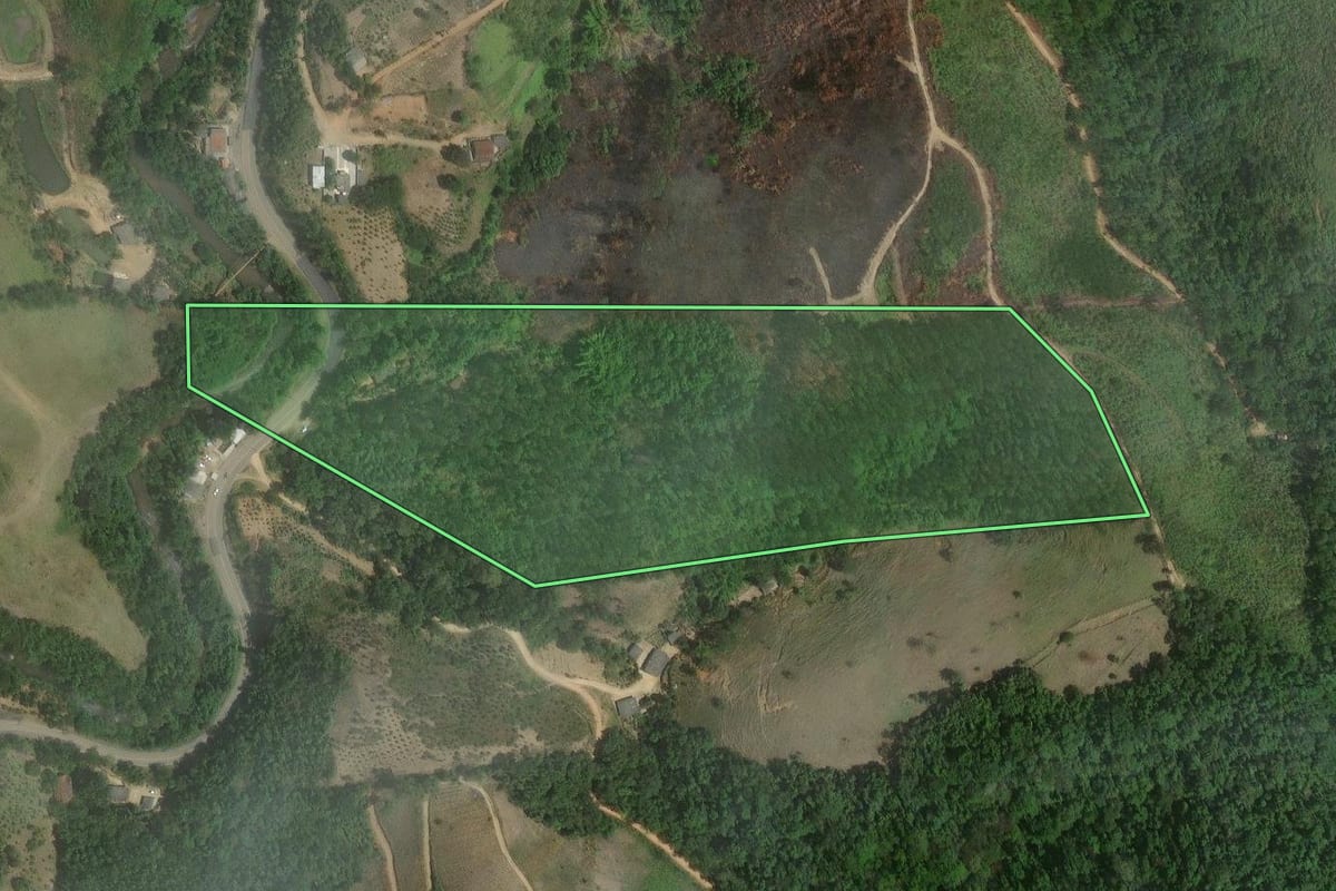 Imagem de satélite do imóvel rural em Cerro Azul (PR), com o contorno declarado no CAR desenhado por cima.