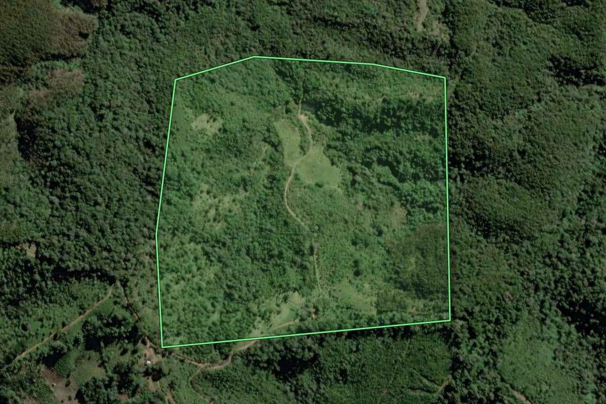 Imagem de satélite do imóvel rural em Cerro Azul (PR), com o contorno declarado no CAR desenhado por cima.