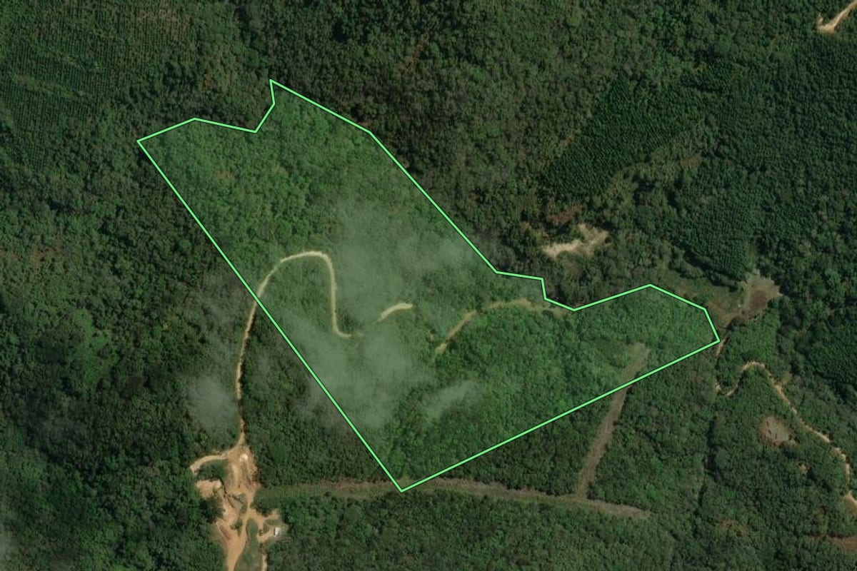 Imagem de satélite do imóvel rural em Cerro Azul (PR), com o contorno declarado no CAR desenhado por cima.