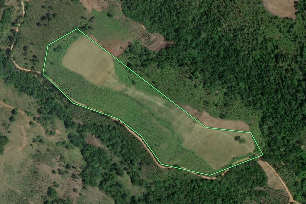 Imagem de satélite do imóvel rural em Cerro Azul (PR), com o contorno declarado no CAR desenhado por cima.