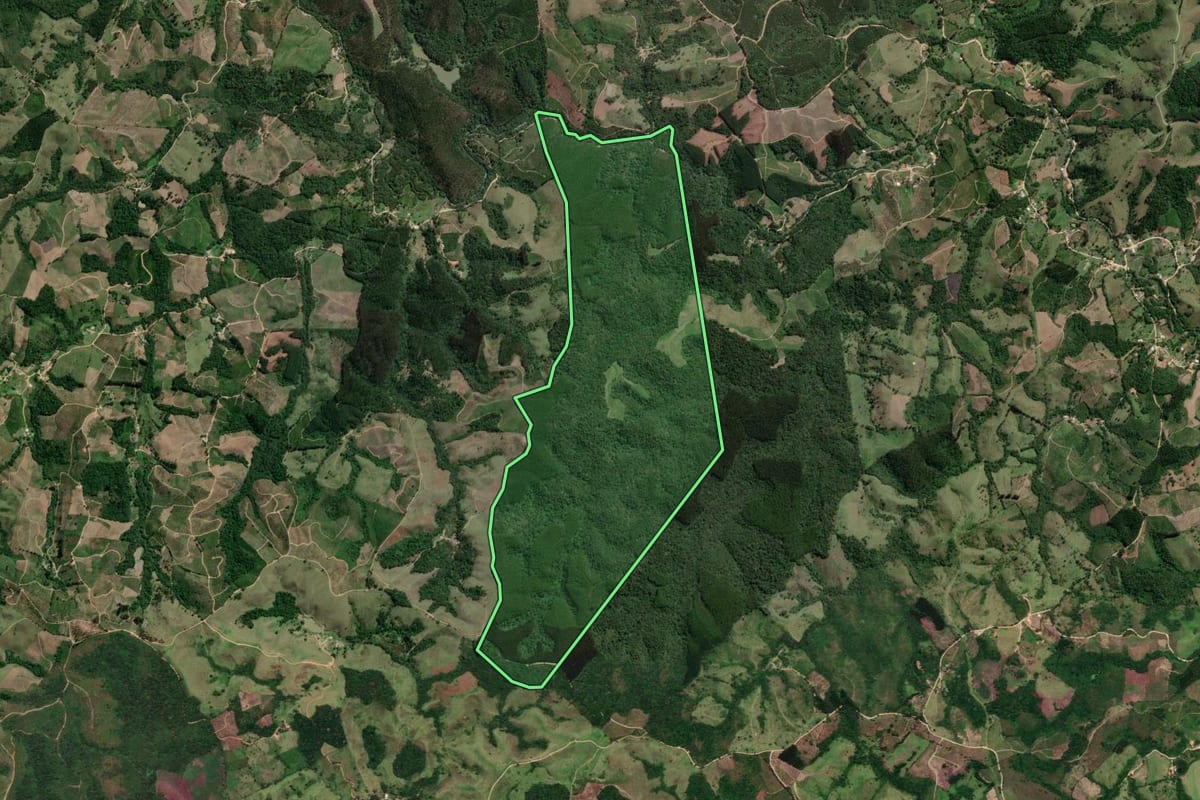 Imagem de satélite do imóvel rural em Cerro Azul (PR), com o contorno declarado no CAR desenhado por cima.