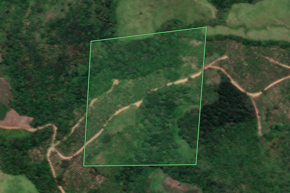 Imagem de satélite do imóvel rural em Cerro Azul (PR), com o contorno declarado no CAR desenhado por cima.