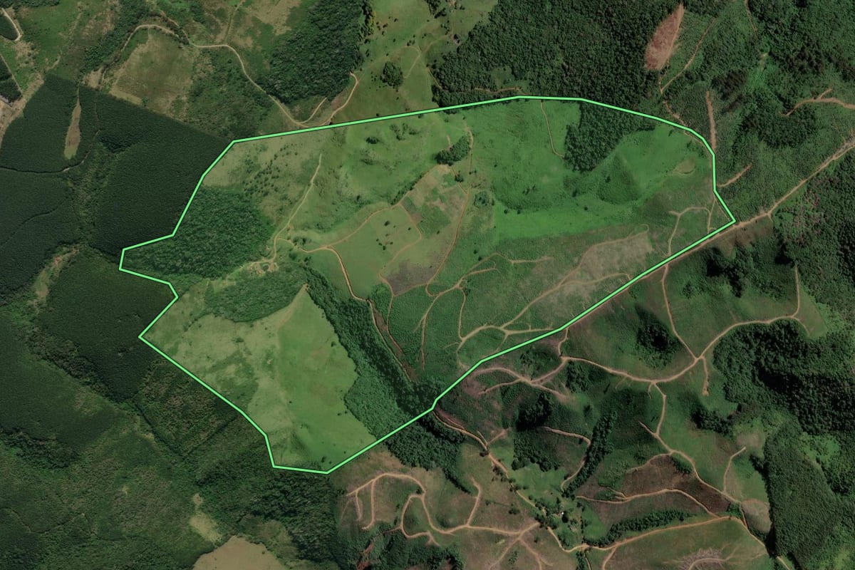 Imagem de satélite do imóvel rural em Cerro Azul (PR), com o contorno declarado no CAR desenhado por cima.
