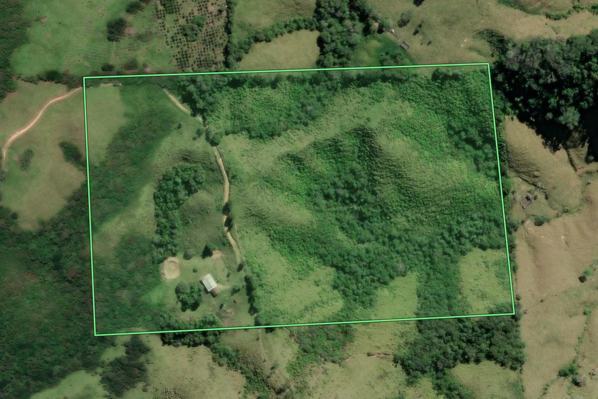 Imagem de satélite do imóvel rural em Cerro Azul (PR), com o contorno declarado no CAR desenhado por cima.