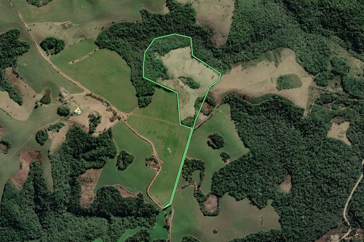 Imagem de satélite do imóvel rural em Cerro Azul (PR), com o contorno declarado no CAR desenhado por cima.