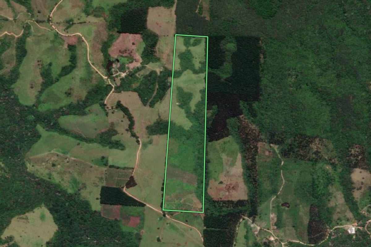 Imagem de satélite do imóvel rural em Cerro Azul (PR), com o contorno declarado no CAR desenhado por cima.