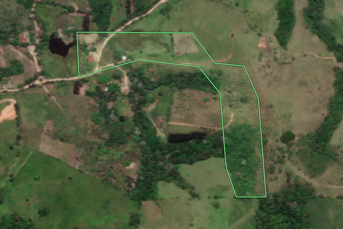 Imagem de satélite do imóvel rural em Cerro Azul (PR), com o contorno declarado no CAR desenhado por cima.
