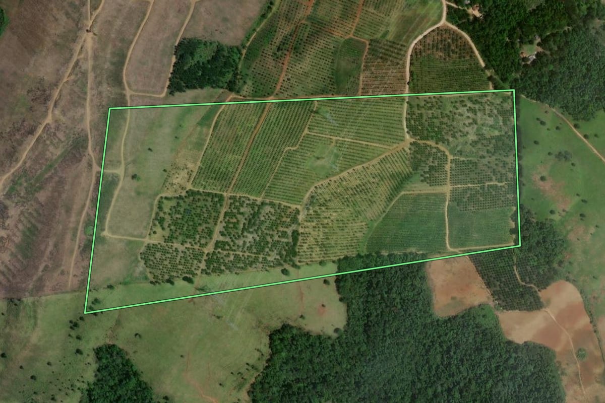 Imagem de satélite do imóvel rural em Cerro Azul (PR), com o contorno declarado no CAR desenhado por cima.