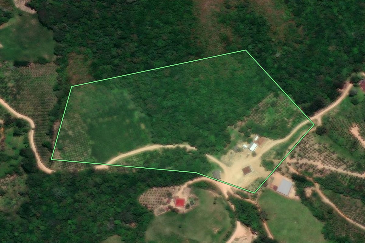 Imagem de satélite do imóvel rural em Cerro Azul (PR), com o contorno declarado no CAR desenhado por cima.