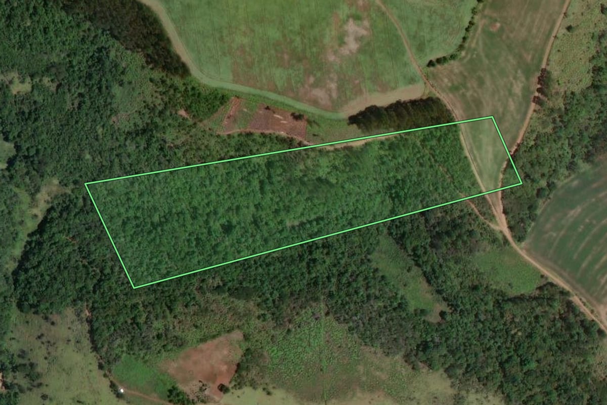 Imagem de satélite do imóvel rural em Cerro Azul (PR), com o contorno declarado no CAR desenhado por cima.